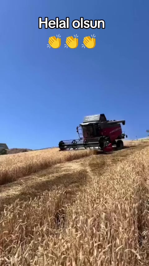 @yılmaz Çetinkaya