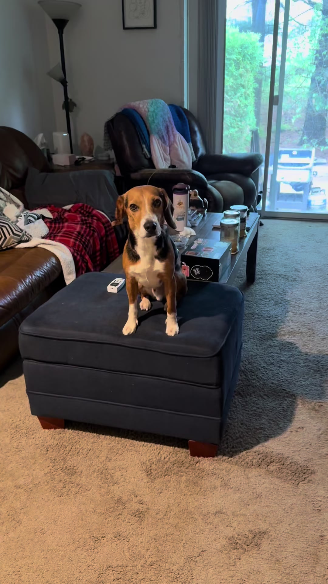 @ThatBeagleGus