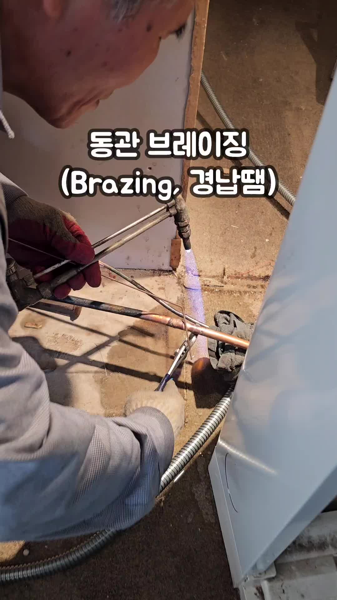@리리꿀팁모음