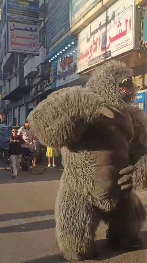 @بودا بتاع غوريلا🦍🔥