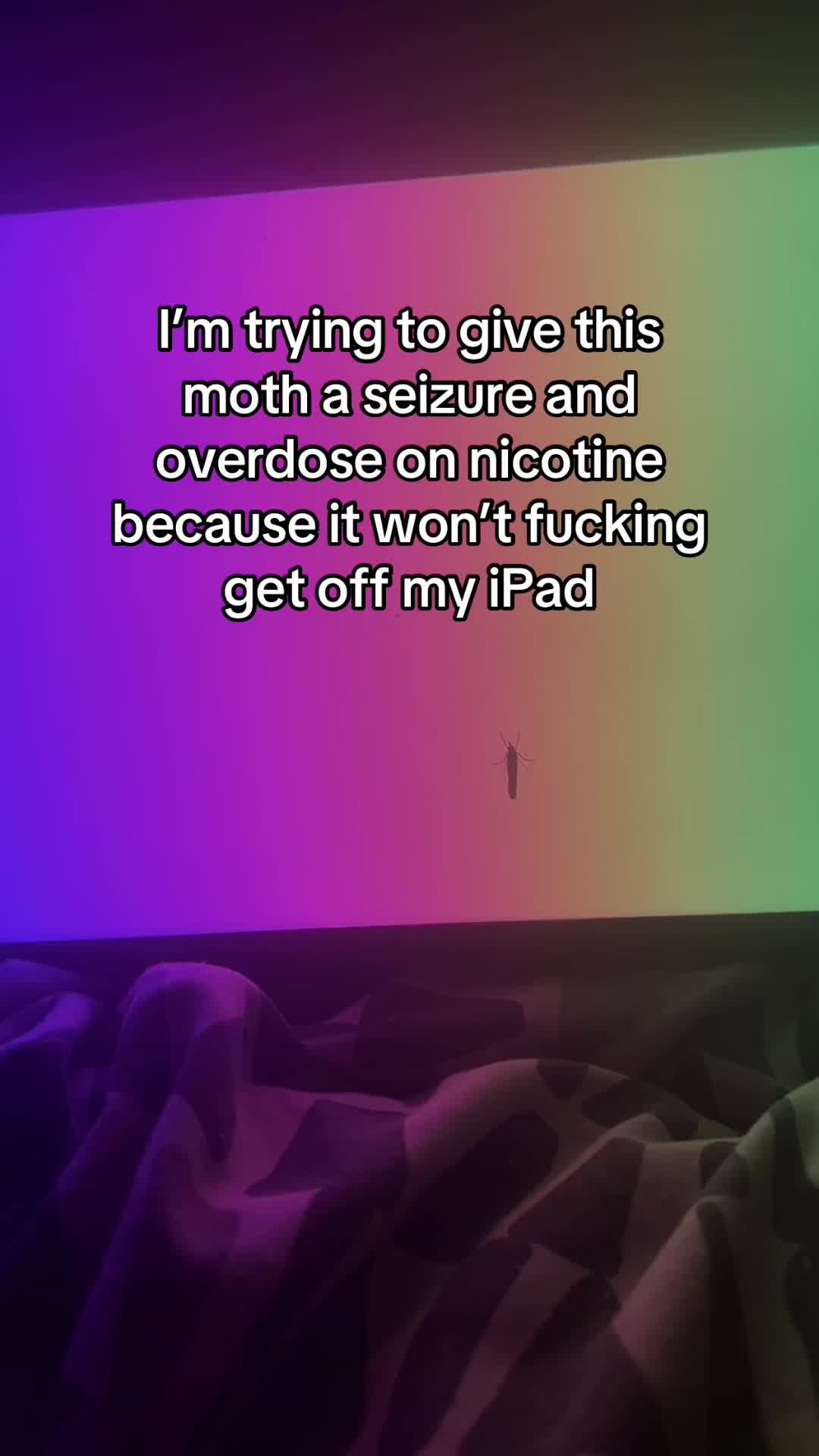 @alfie