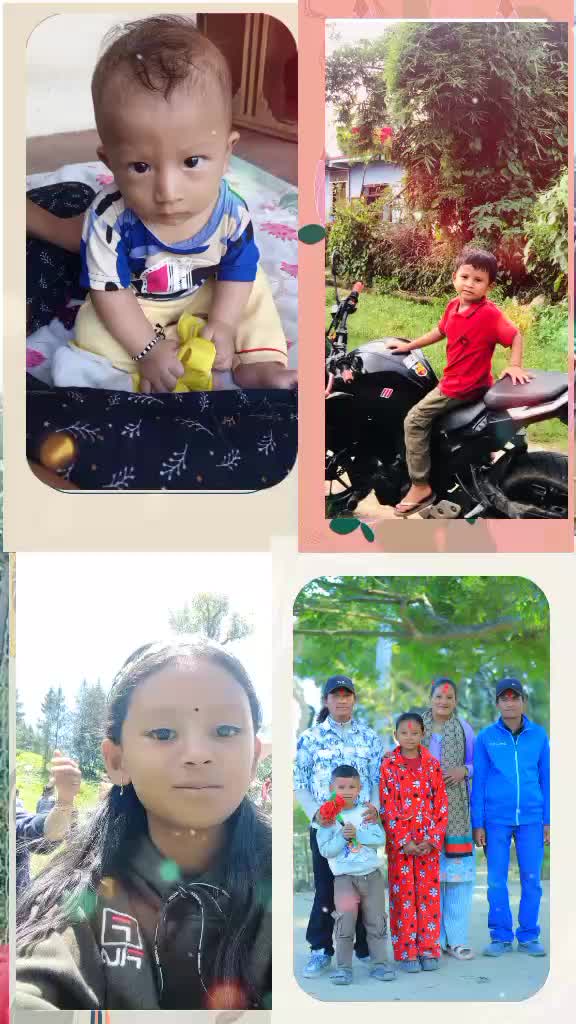 @Prithvi Hamal