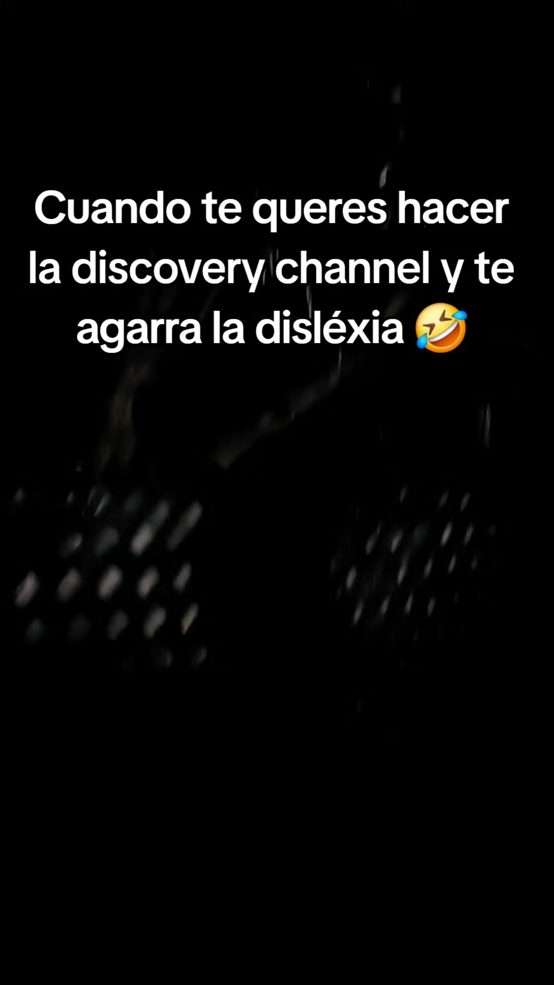 @anahii♡