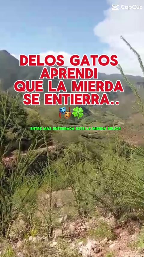 @Mary Avila