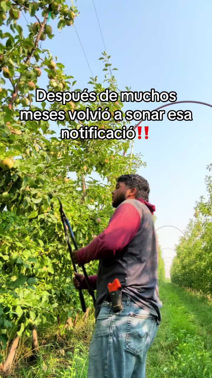 @_ramos_6