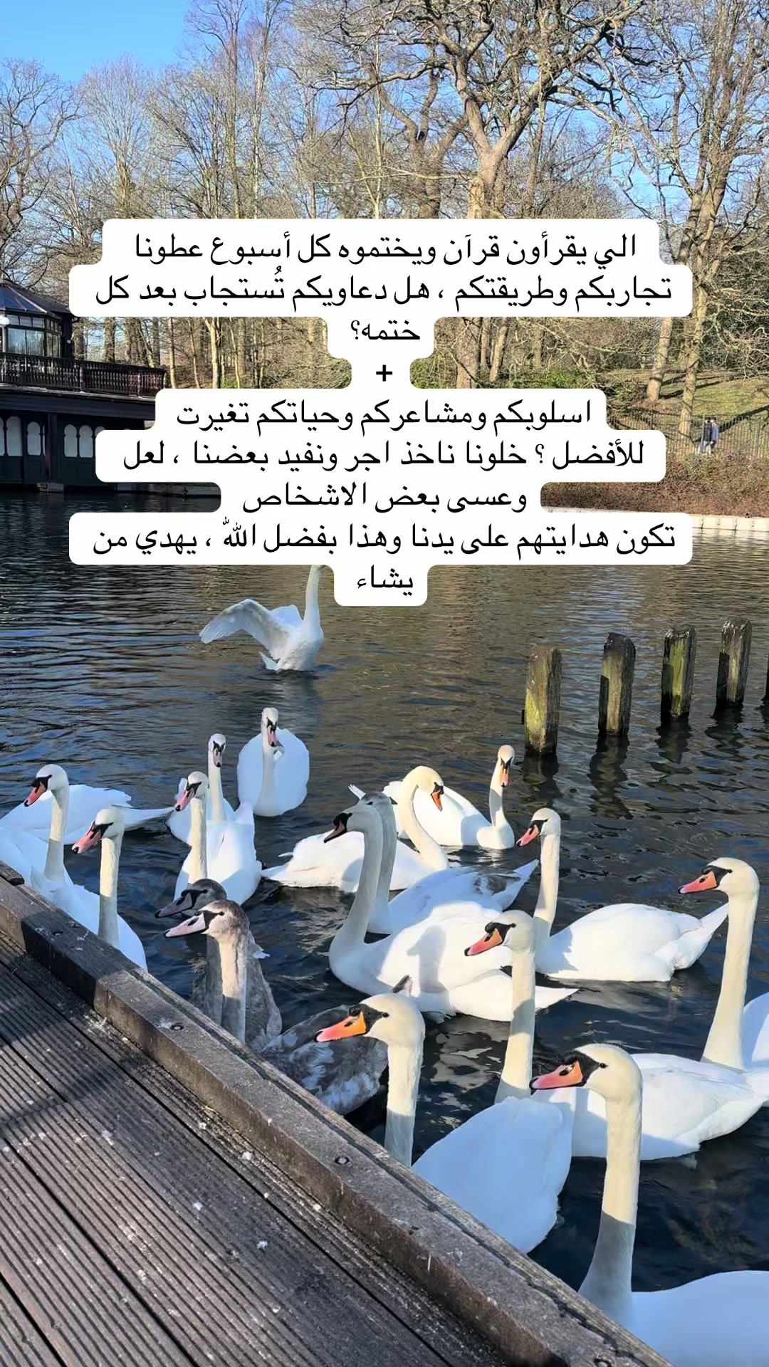 @تغطيات سارة 🛍