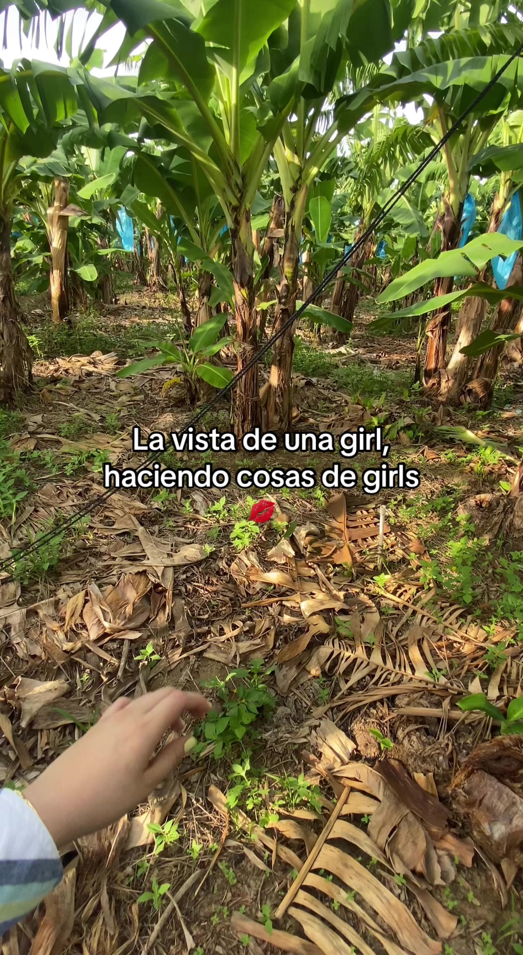 @Mujer Agrícola