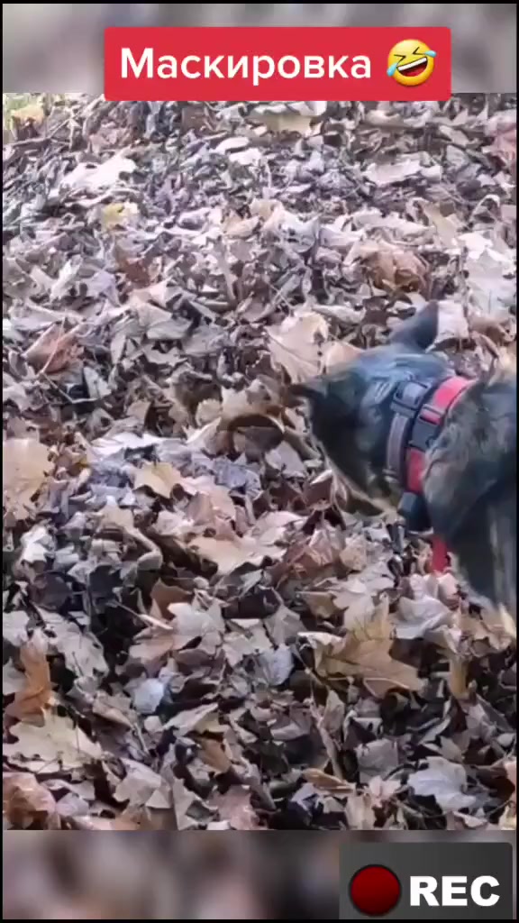 @Лариса