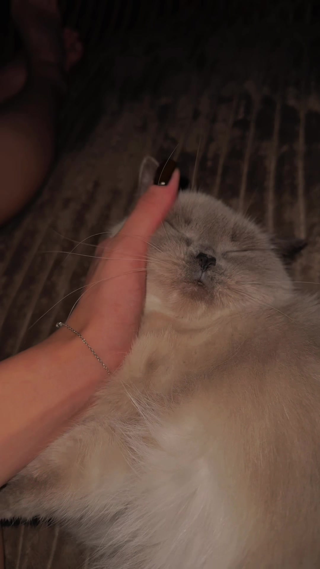 @Екатерина)