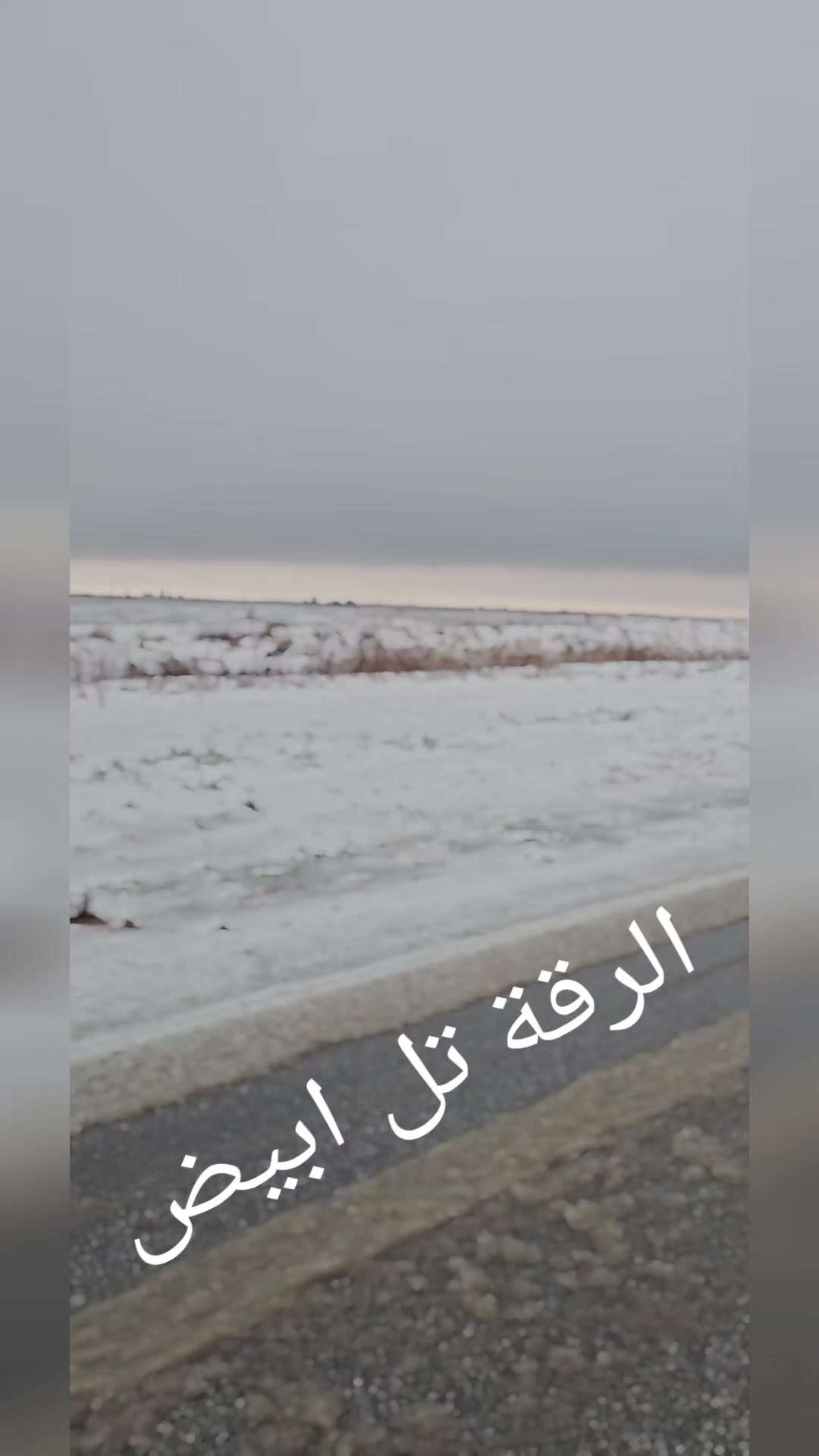 @ياحسايف@@@888