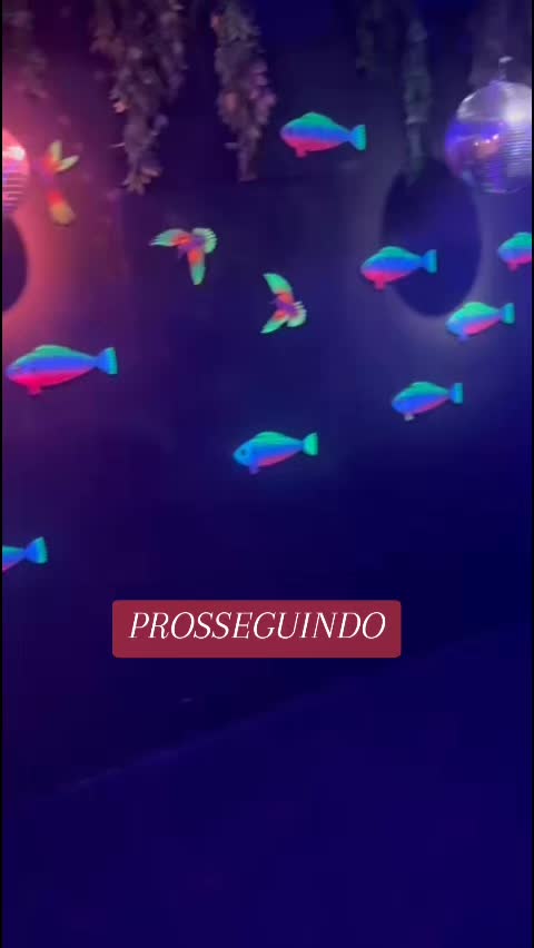 @Andreia Nogueira