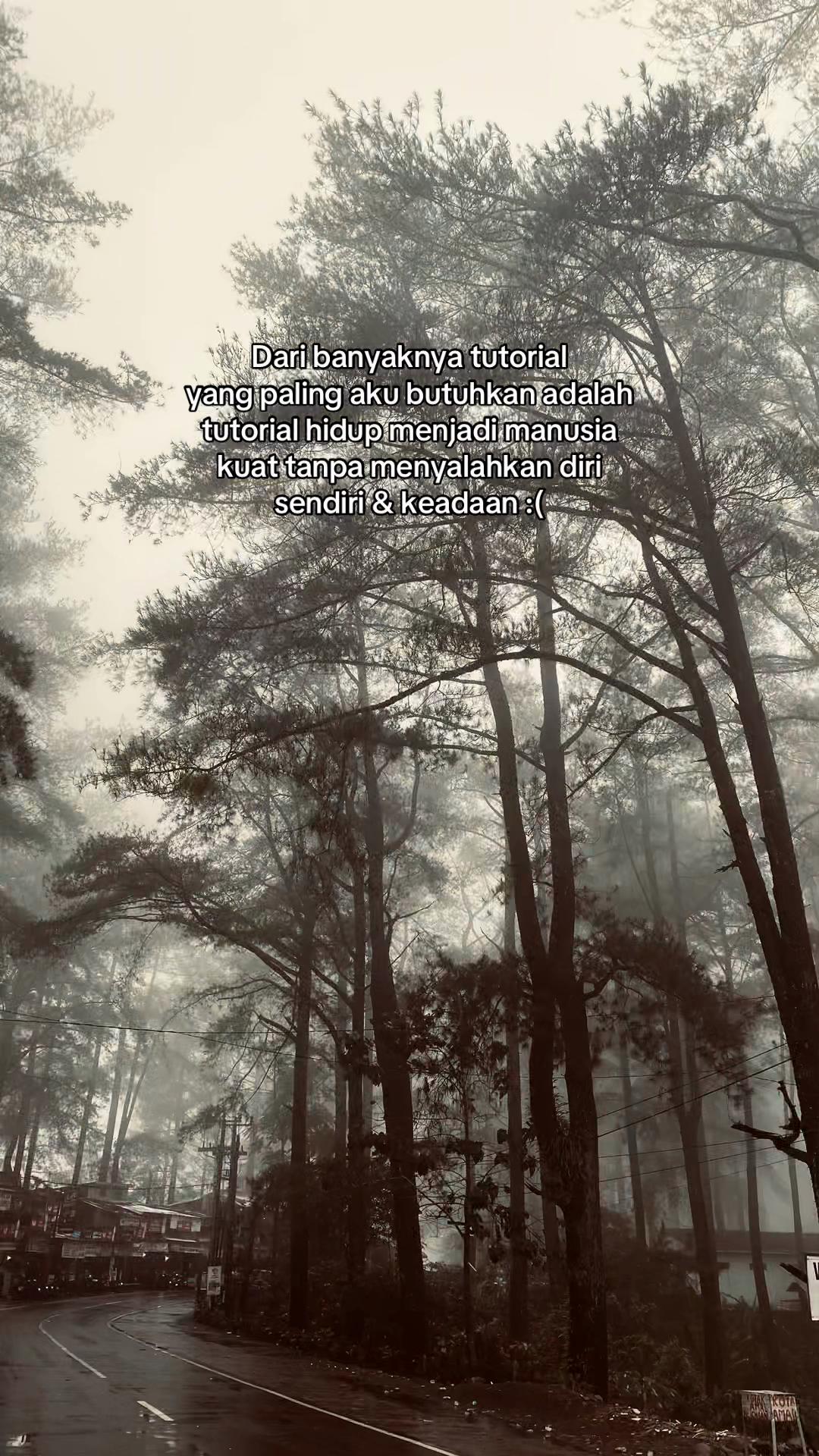 @pipoy𐙚