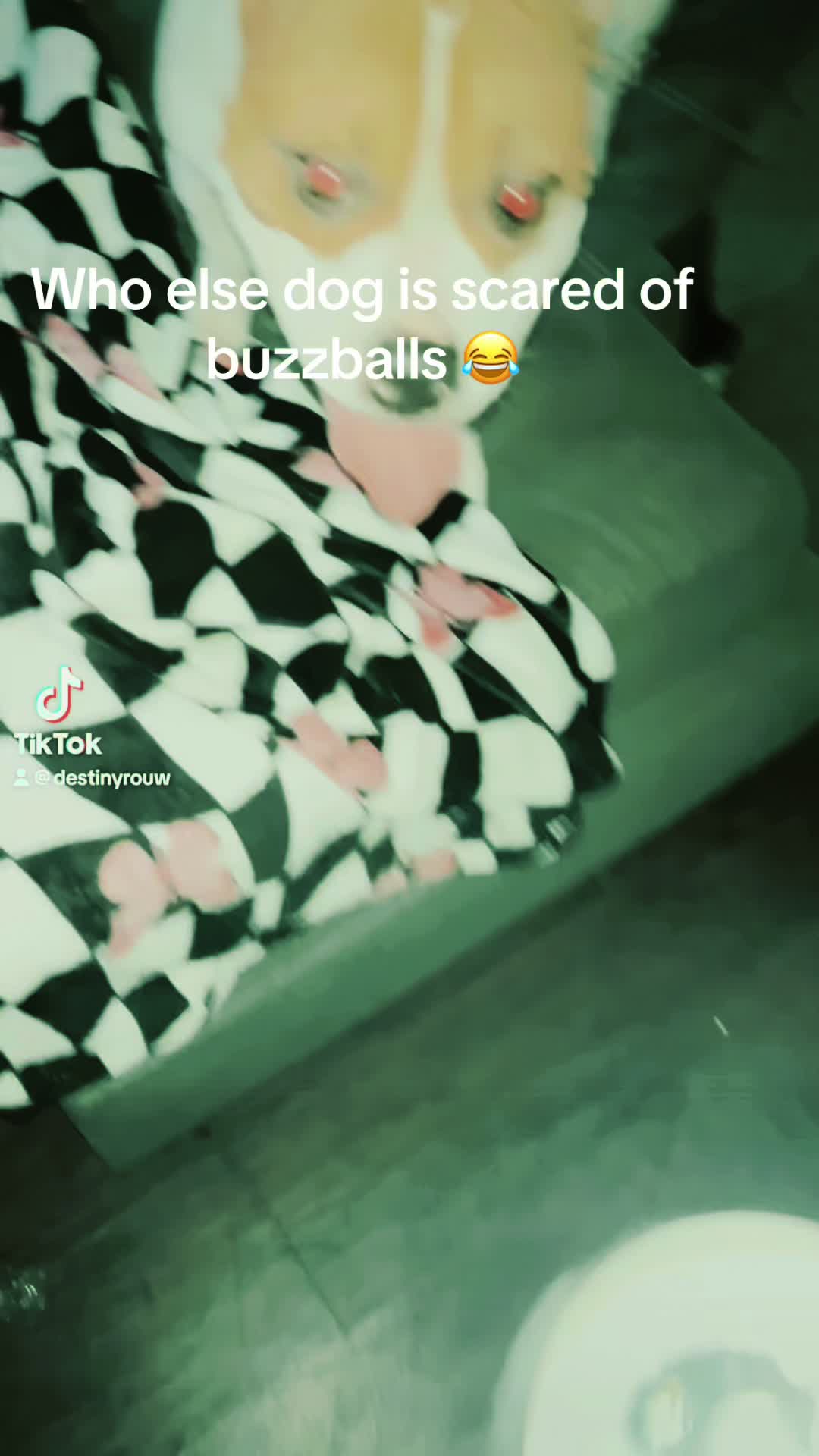@Dezzy_diane