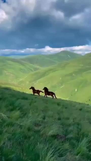 @СветланаВладимировна