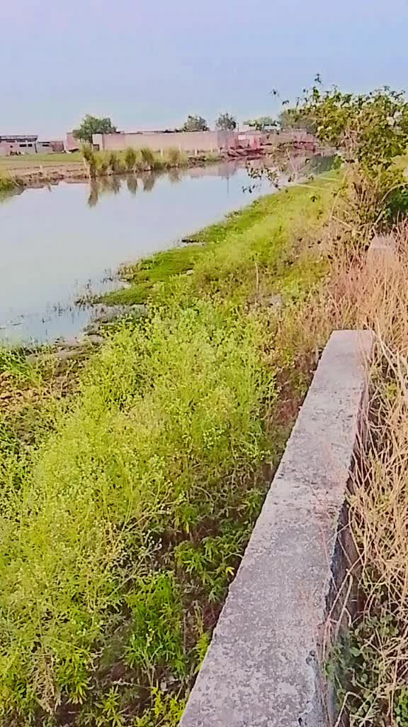 @Nasir Bhutta