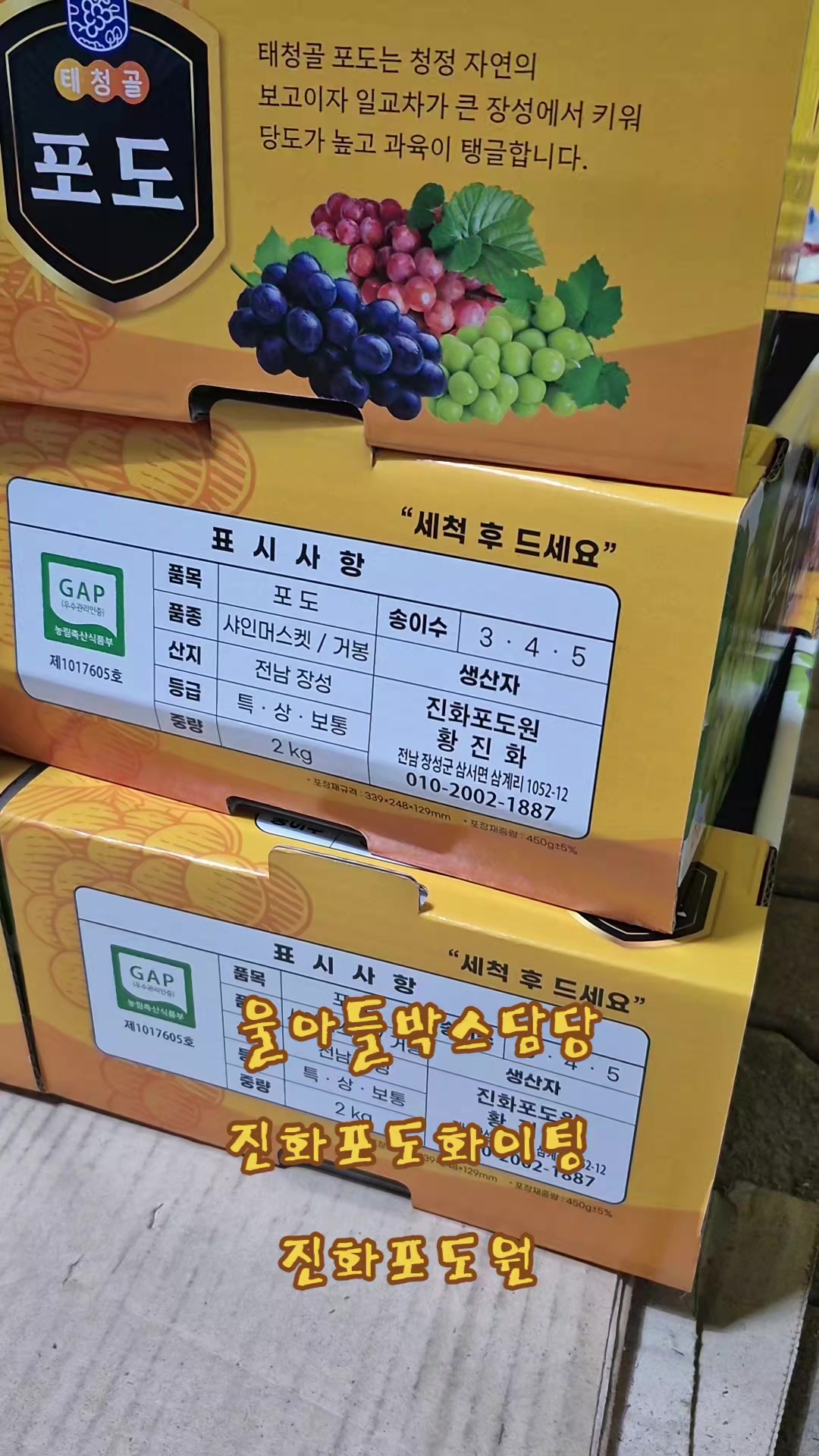 @진화포도원