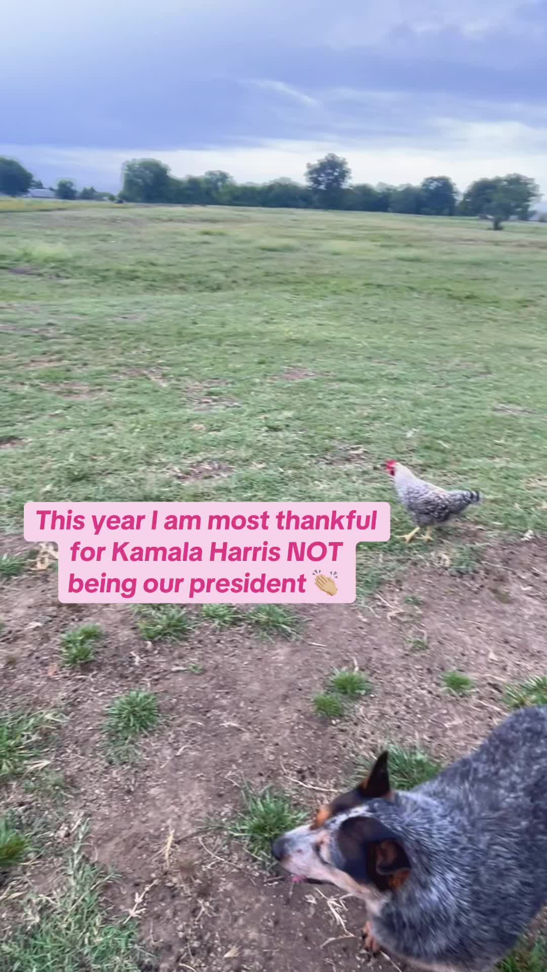 @thefarmstop