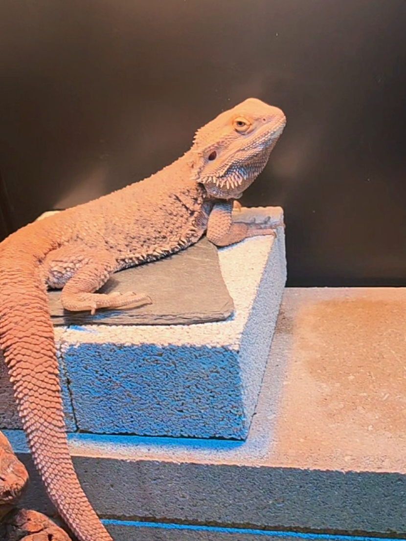 @𝕮𝖍𝖗𝖎𝖘𝖙𝖎𝖓𝖆