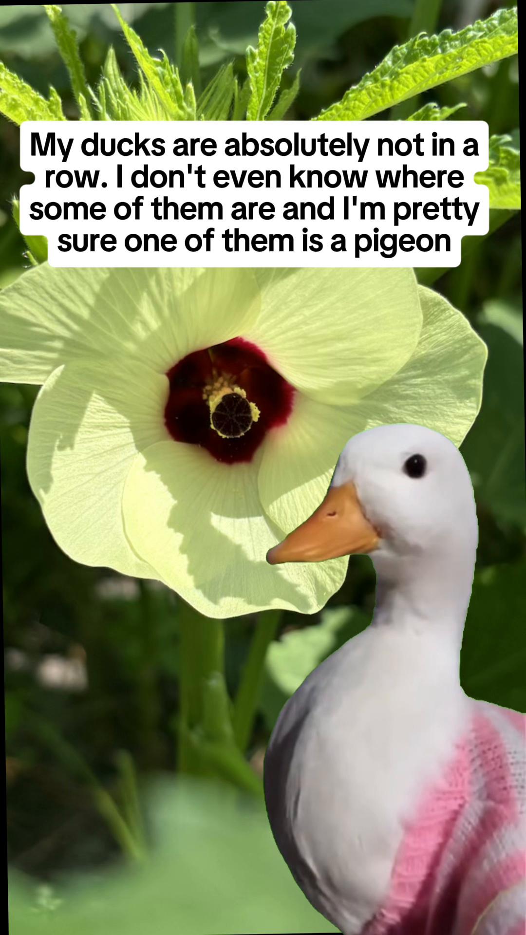 @Boredouttamymind