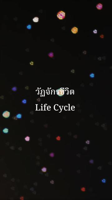 @เที่ยว สุข ขลัง พลัง