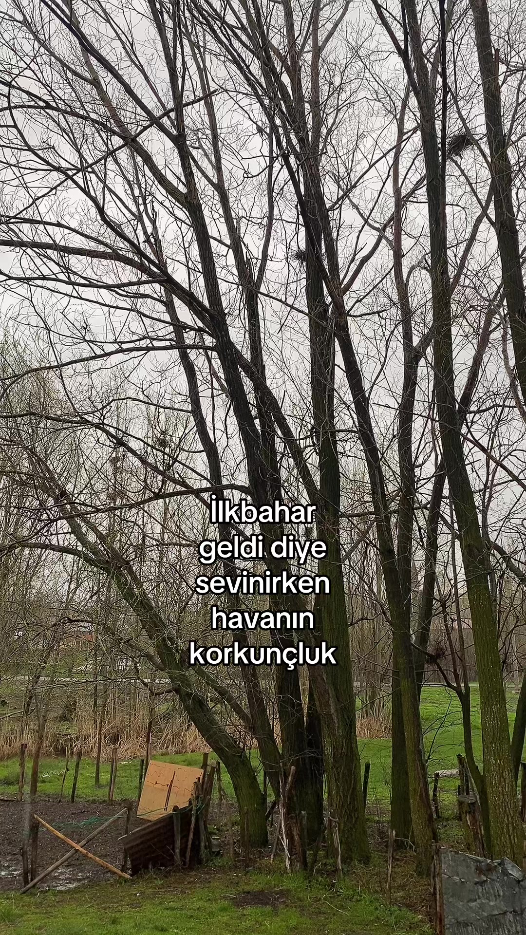 @Buseee