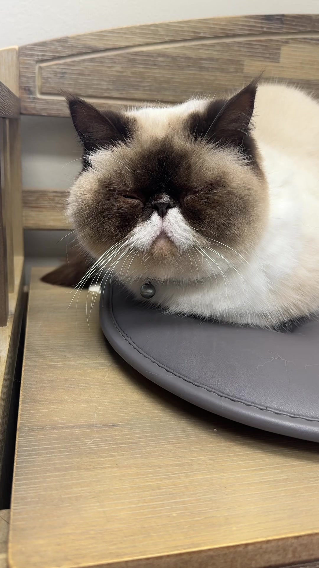 @Snodgrass Vet