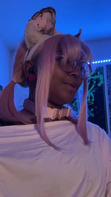 @comfypuppi