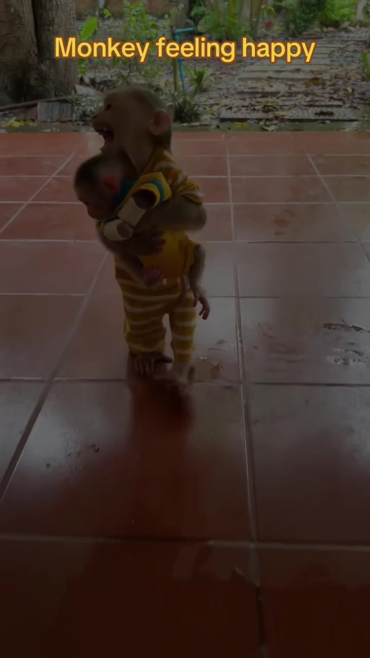 @Baby Monkey Rescue