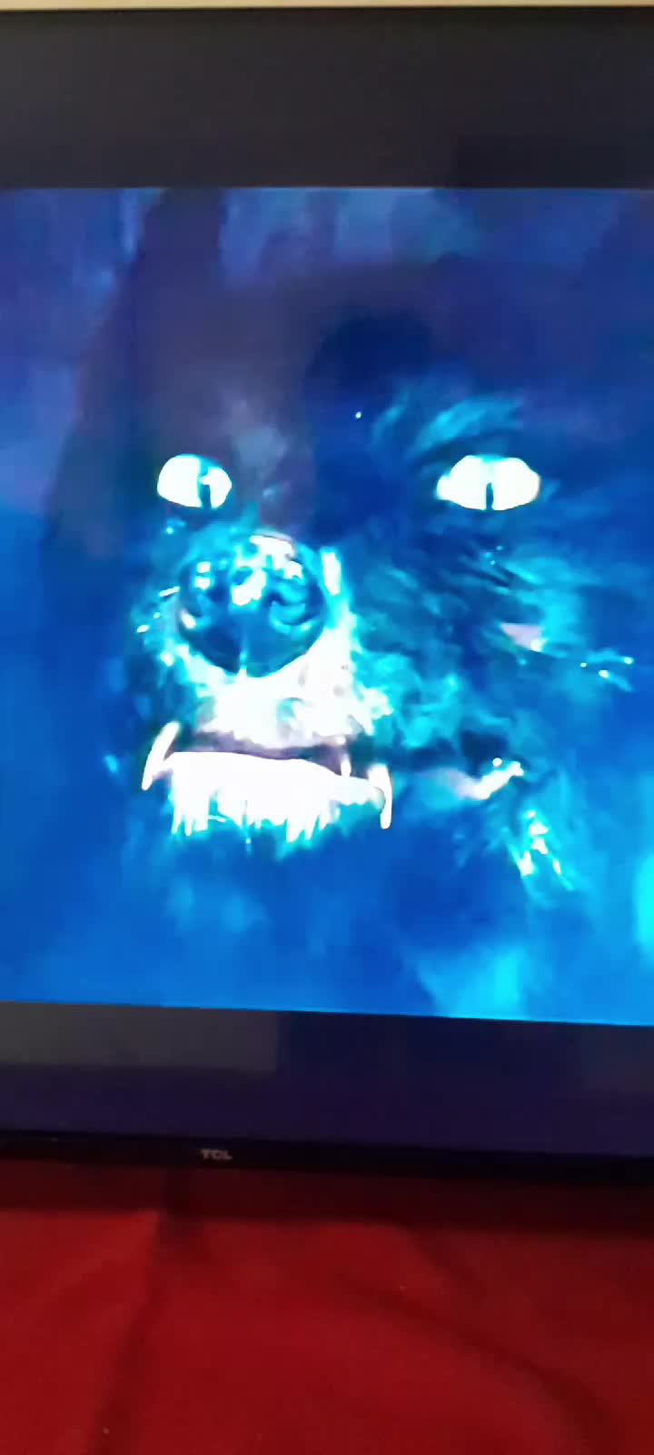 @Santaadon1