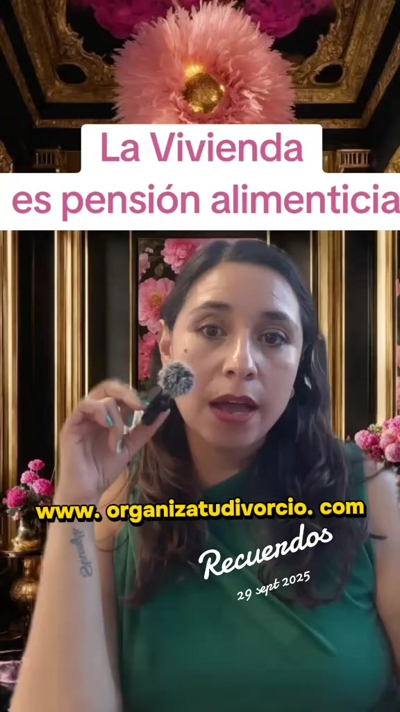 @organizatudivorcio