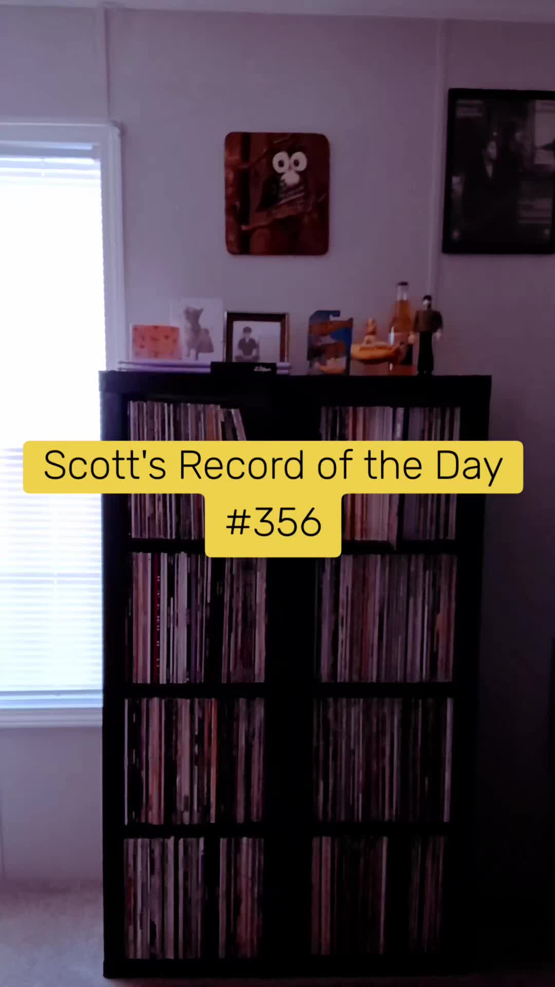@Scott Reed ❌️