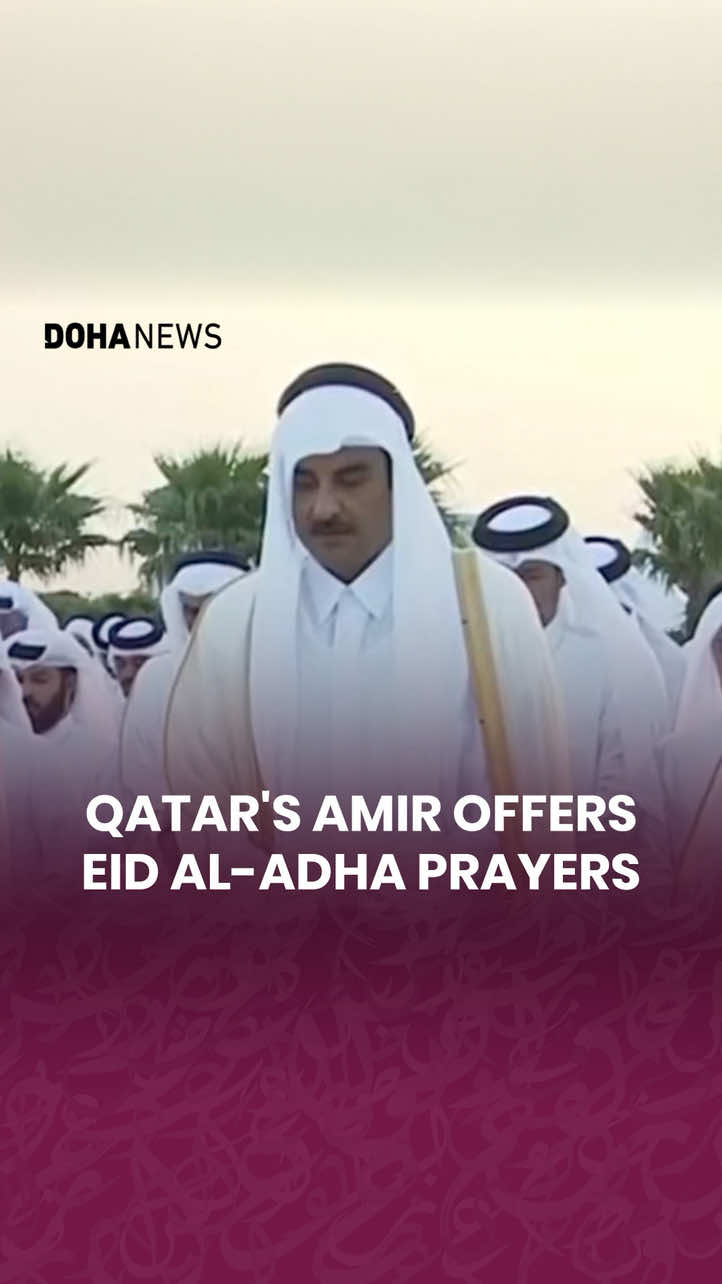 @Doha News