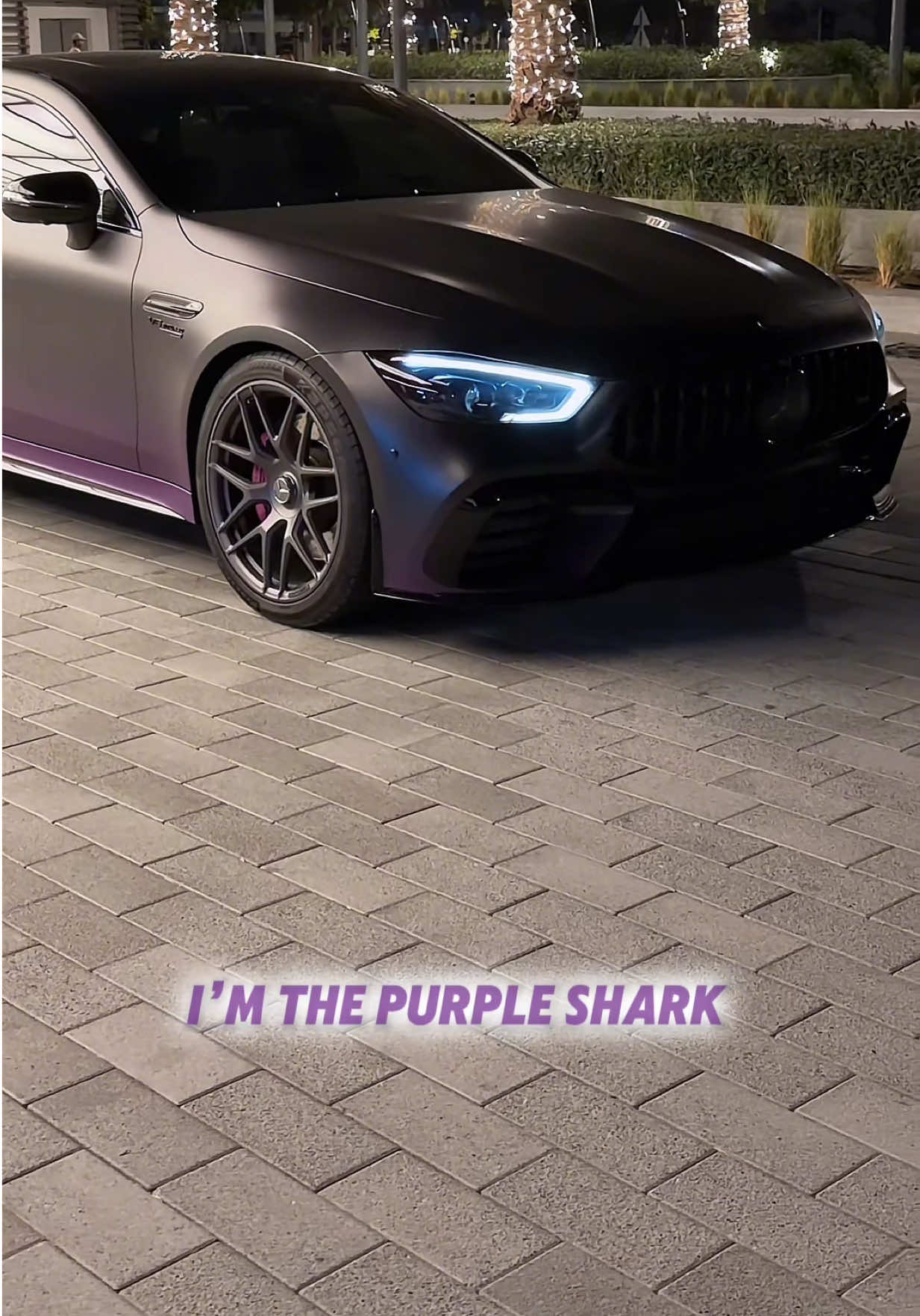 @🦈💜