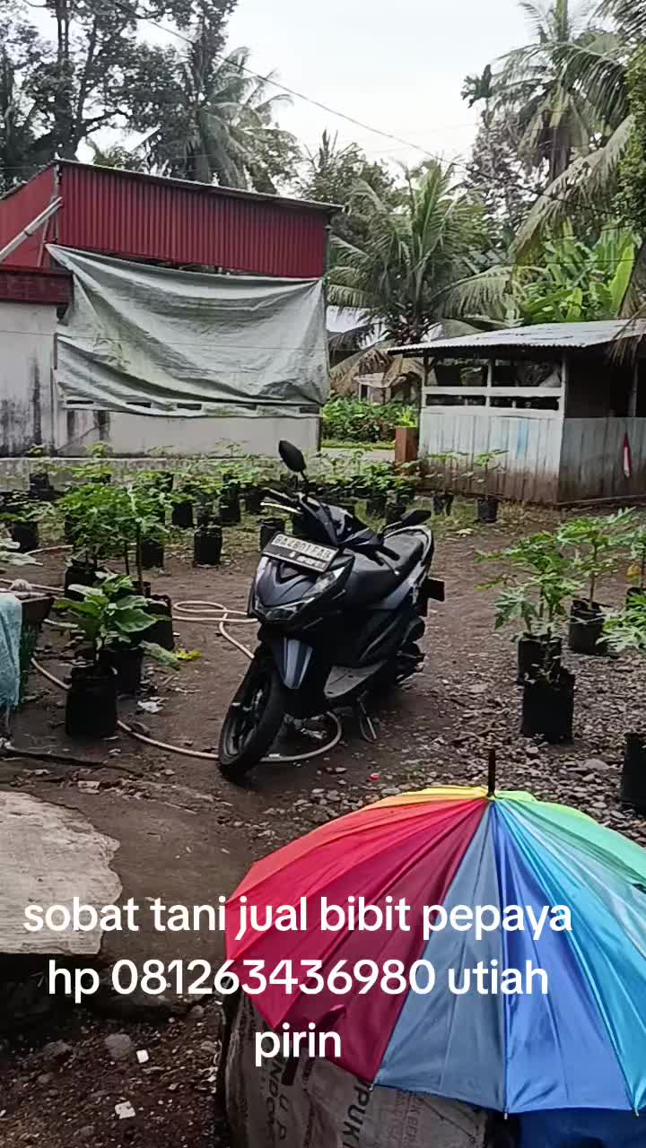 @Syafrizal , tanjuang