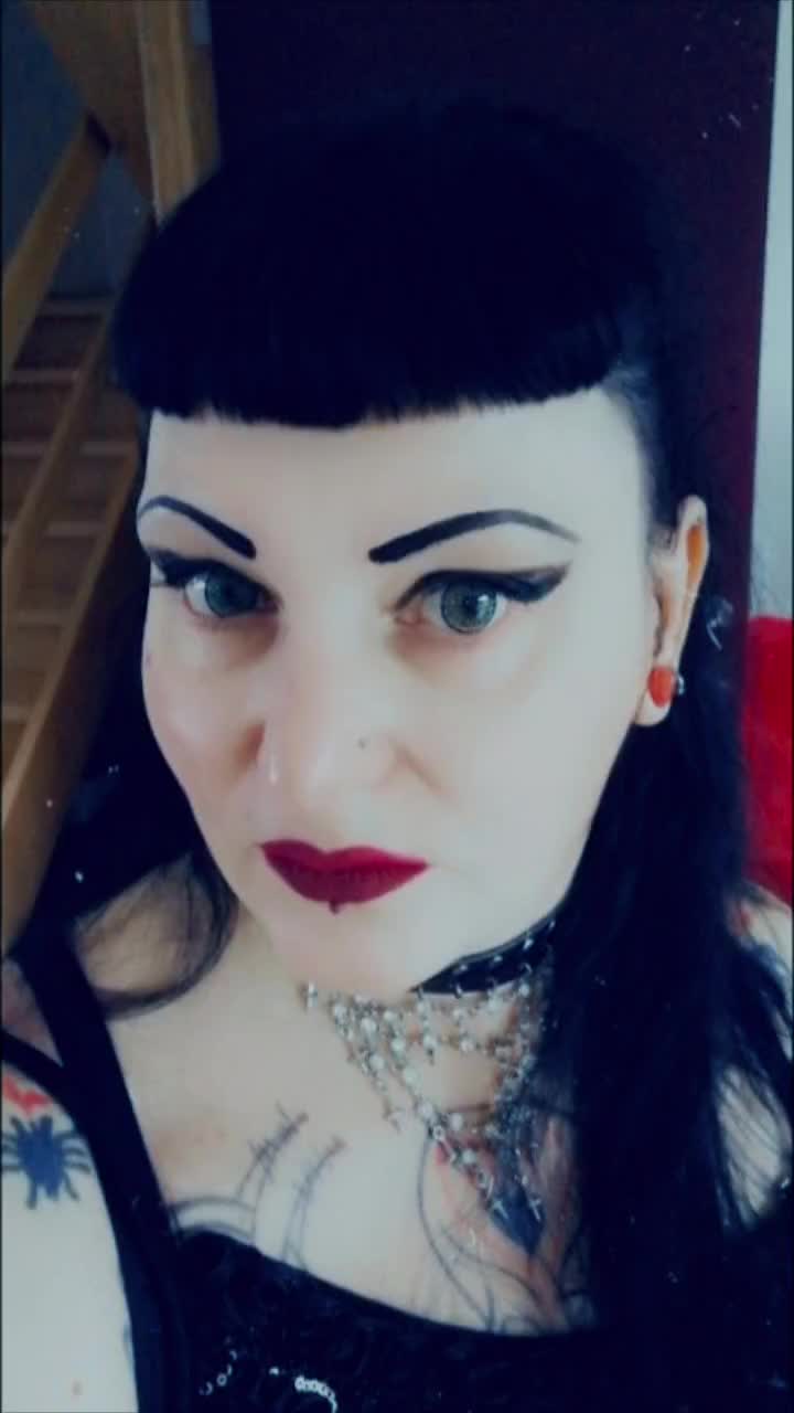 @🦇Abbey Von Stein🦇