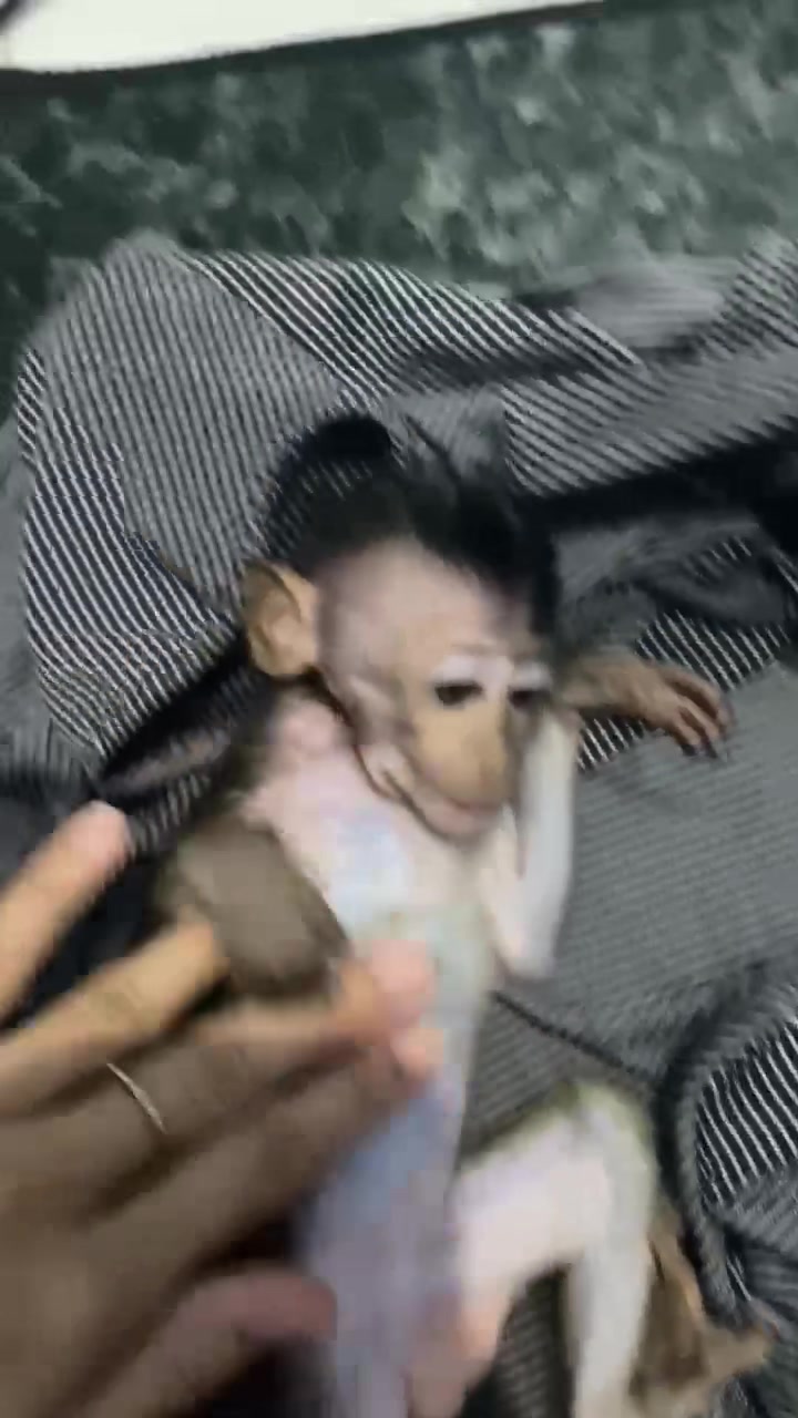 @MRS.Adit ๐๐๐๐ง๐ญ๐