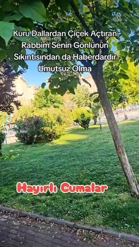 @halil_ULUSOY63