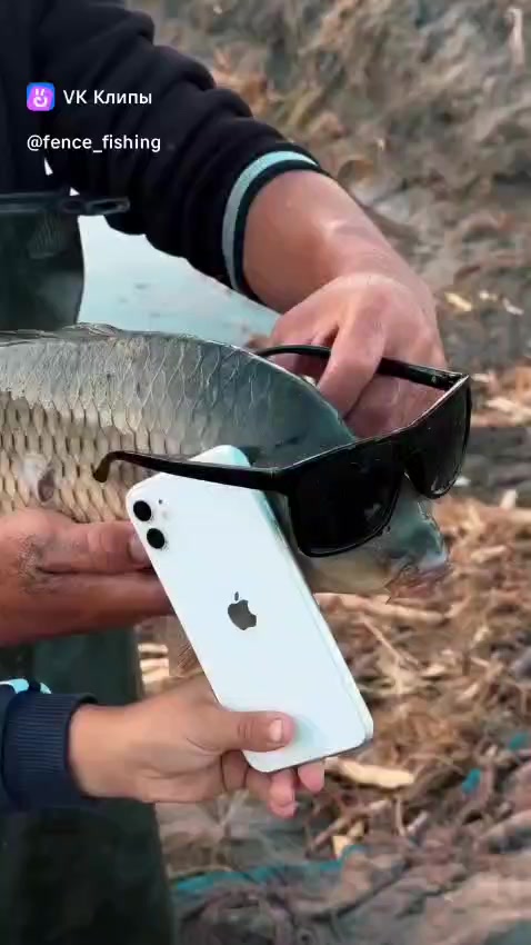 @Балыкчы Малай