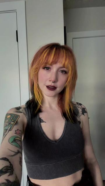 @faevvitch