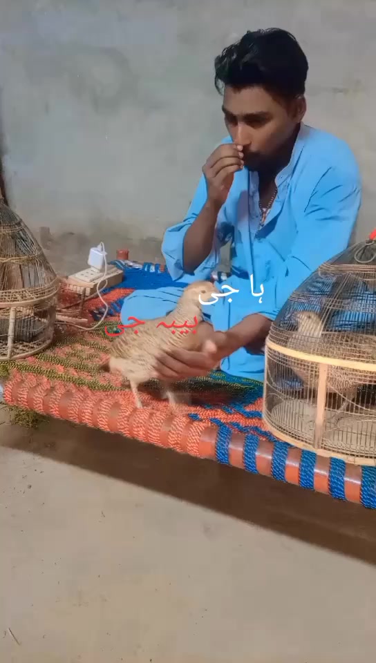 @بیبہ110🤕