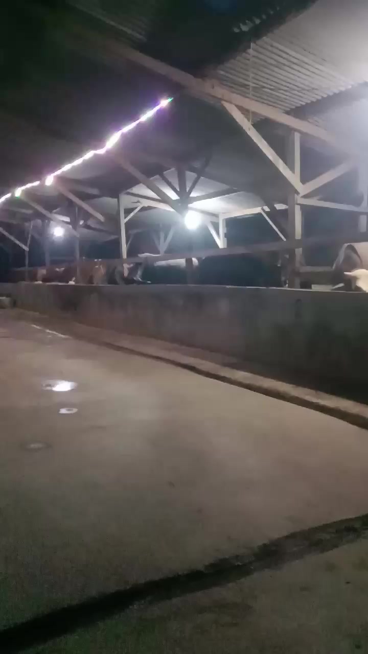 @PT MITRA PAKAN TERNAK