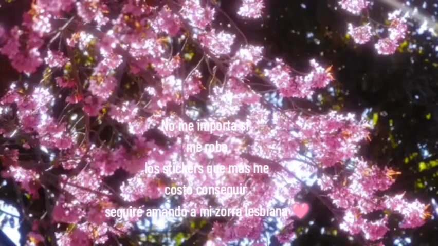 @★𝐌𝐈𝐋𝐎 𝐉★