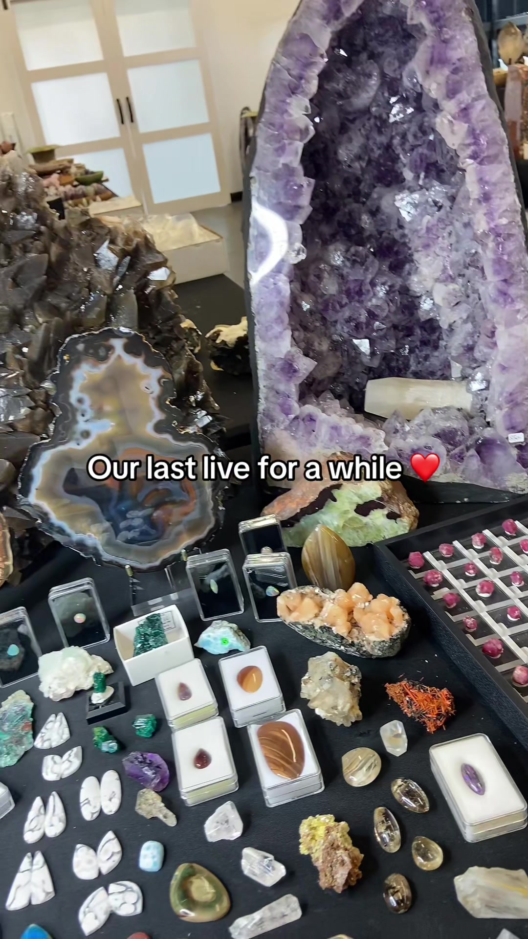 @🔮CrystalPacifica🔮
