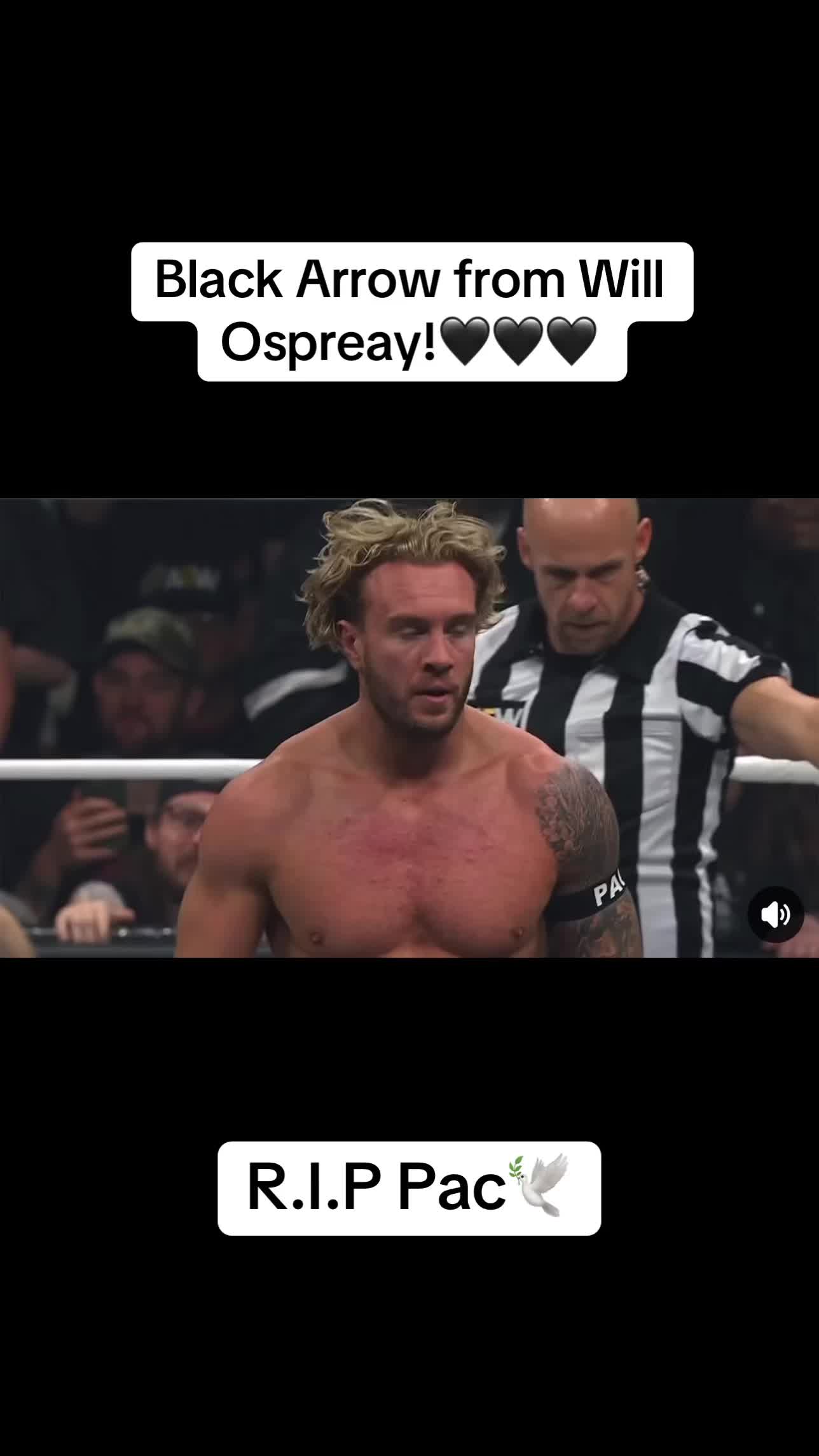 @Enjoy Wrestling