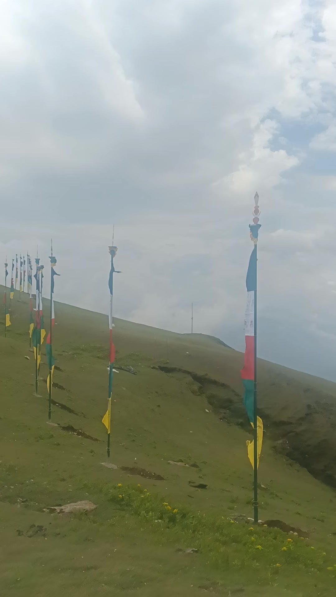 @Raju Tamang