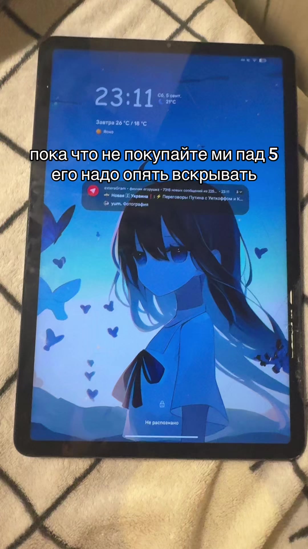 @whatsfin
