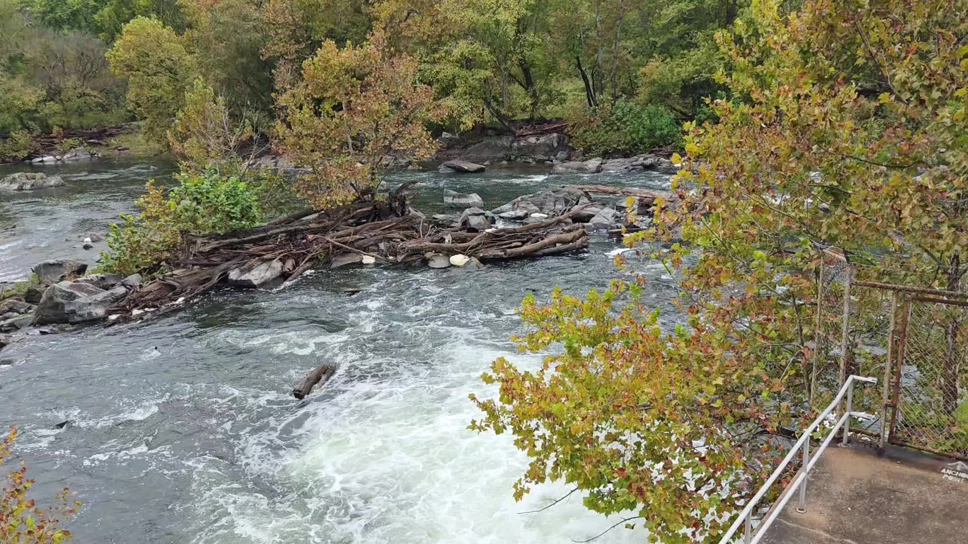@resroseyasmin