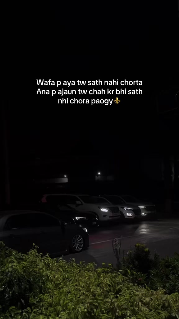 @&zwj;