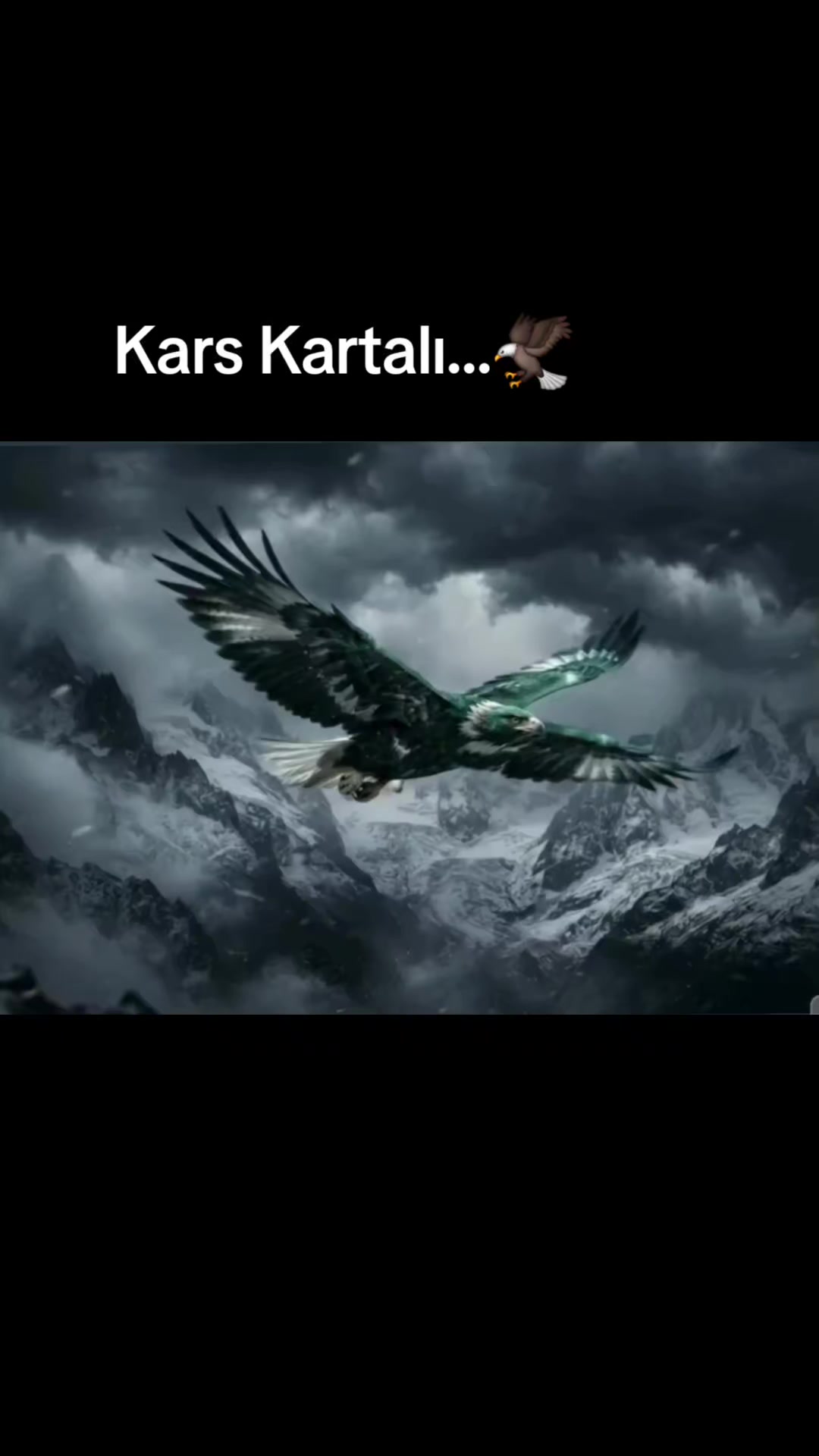 @KARS36SPOR