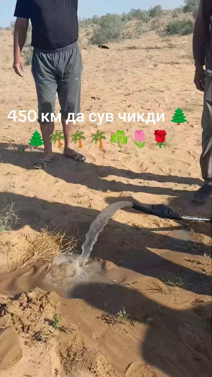 @ато🦁